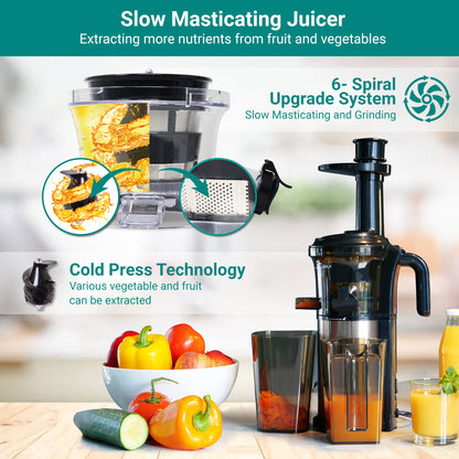 LEPL LSJ368 Bliss Cold Press Slow Juicer